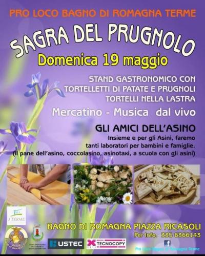 Sagra Del Prugnolo A Bagno Di Romagna - Bagno Di Romagna